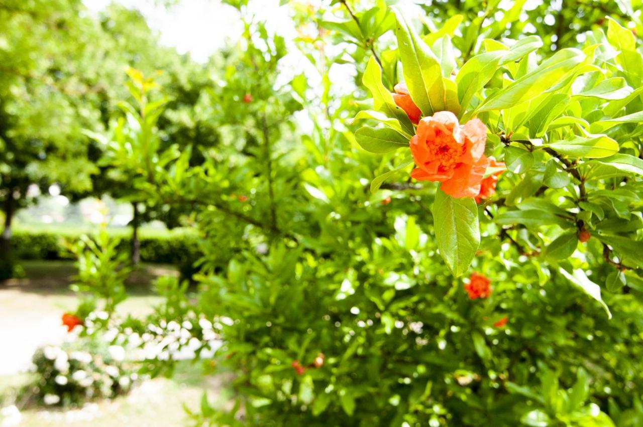 B&B Antico Sentiero Cesena Ngoại thất bức ảnh